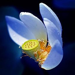 《最终幻想16》没有难度系统 将提供各种辅助装备